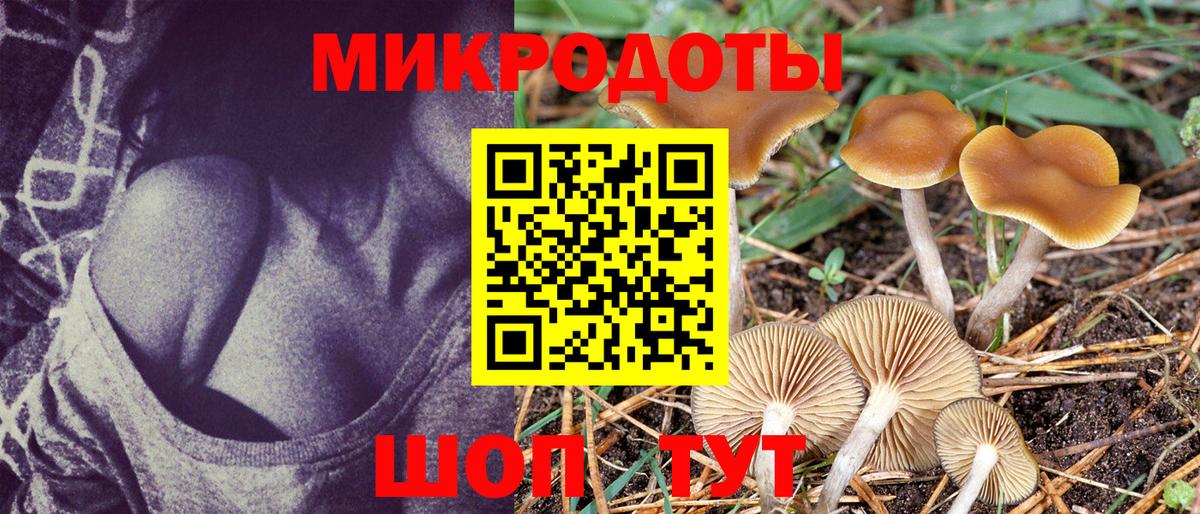 Псилоцибиновые грибы мицелий Улан-Удэ