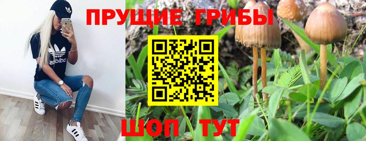 купить закладку  Галлюциногенные грибы MAGIC MUSHROOMS  Вход с VPN  Улан-Удэ 
